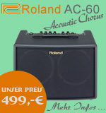 Anzeige Roland AC-60