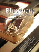 Anzeige Lehrbuch Bluesharp
